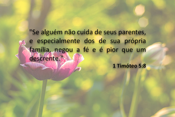 Confira 20 versículos bíblicos sobre vida financeira | Fé | Pleno.News