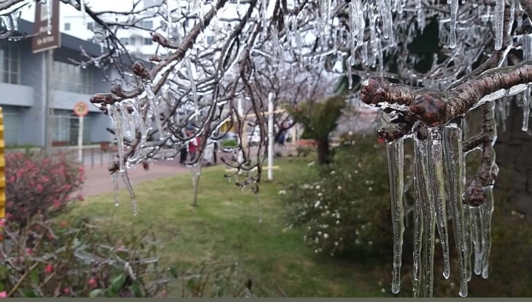 Temperatura en santa catarina online