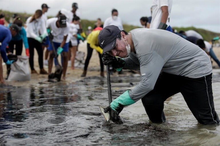 Voluntários retiram óleo de praias do Nordeste Voluntários retiram óleo de praias do Nordeste