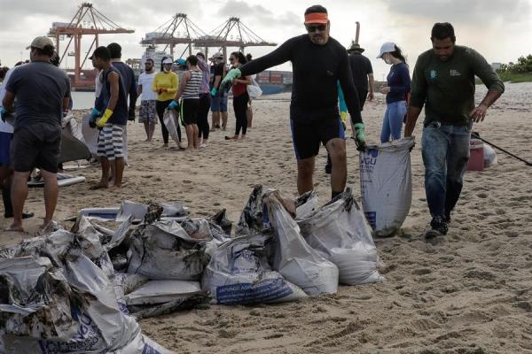 Voluntários retiram óleo de praias do Nordeste Voluntários retiram óleo de praias do Nordeste