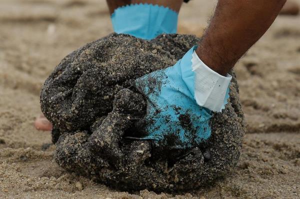 Voluntários retiram óleo de praias do Nordeste Voluntários retiram óleo de praias do Nordeste