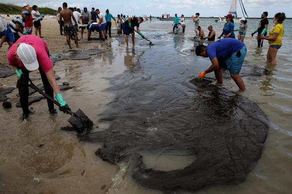 Voluntários retiram óleo de praias do Nordeste Voluntários retiram óleo de praias do Nordeste