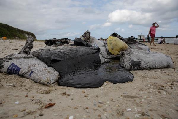 Voluntários retiram óleo de praias do Nordeste Voluntários retiram óleo de praias do Nordeste