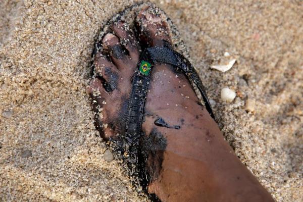 Voluntários retiram óleo de praias do Nordeste Voluntários retiram óleo de praias do Nordeste