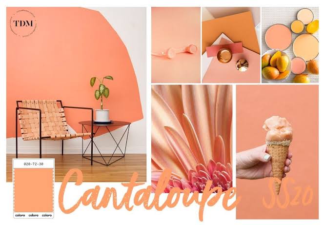 Cantaloupe, um coral Cantaloupe, um coral