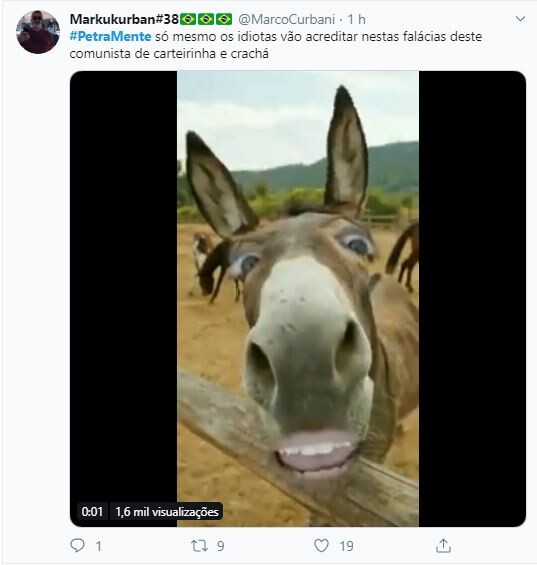 Internautas repudiaram ataques da cineasta a Bolsonaro Internautas repudiaram ataques da cineasta a Bolsonaro